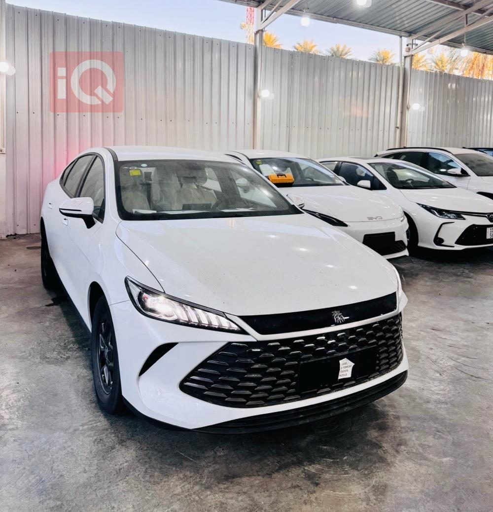 بي واي دي Qin Plus